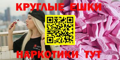 СК Заводоуковск