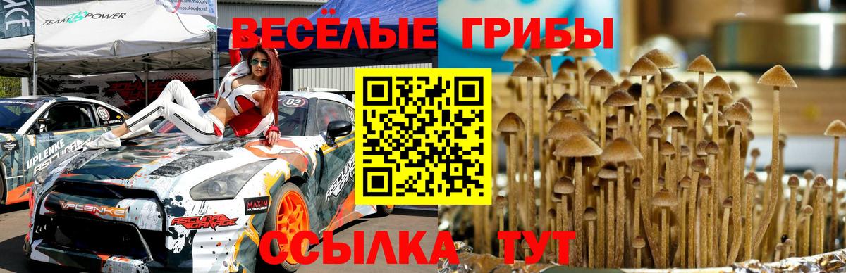 Михайловск  Псилоцибиновые грибы Magic Shrooms  Вход с VPN 